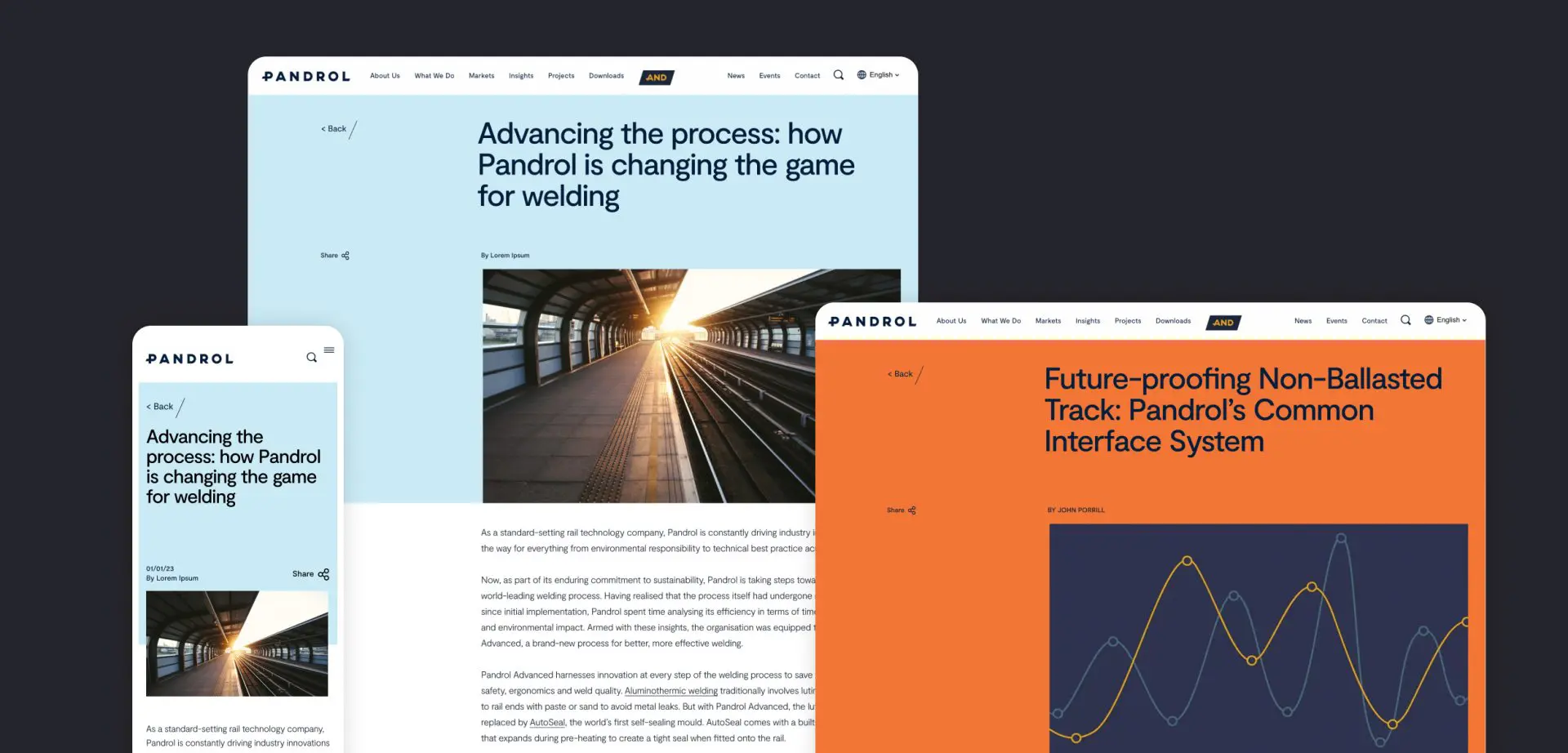 Pandrol Website Insights Section