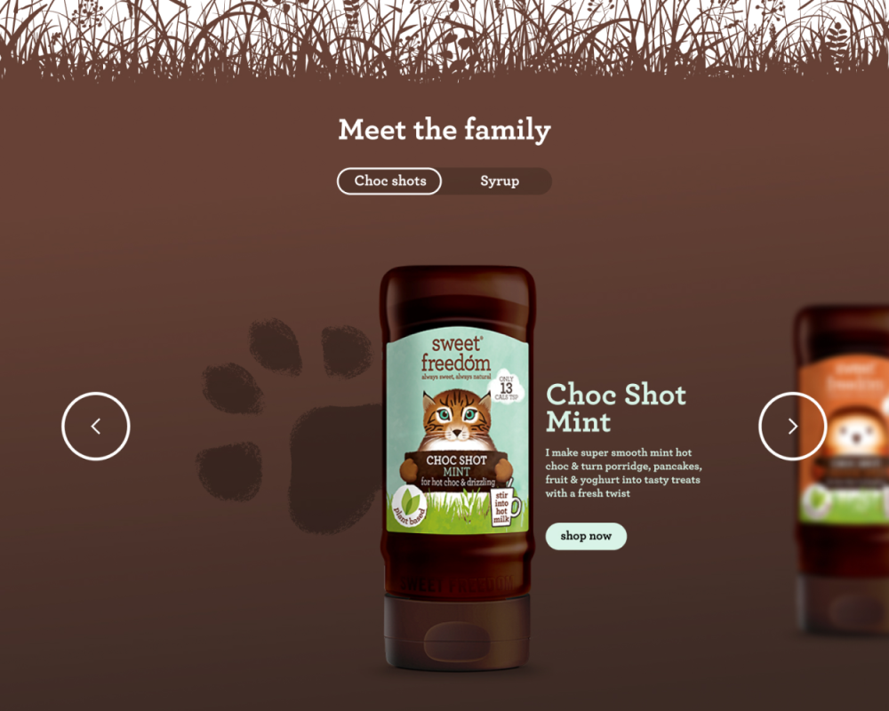 Sweet Freedom Website Choc Shot Mint Product