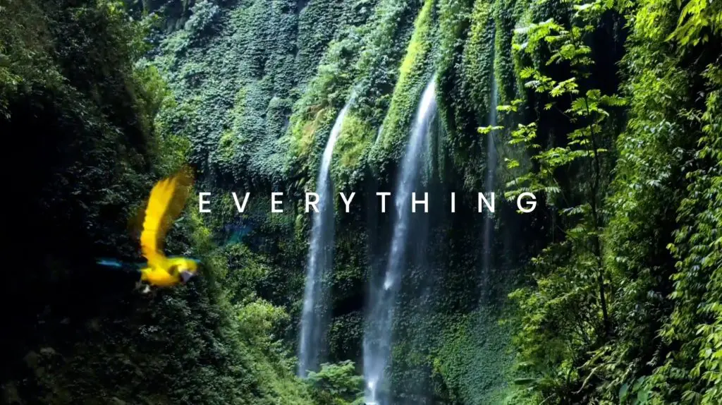 Hisense Laser TV Video Thumbnail forest scene