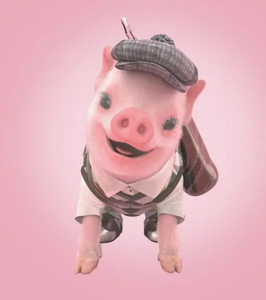 Moonpig Social Media Campaign