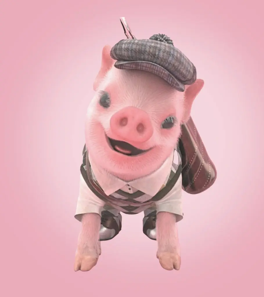 Moonpig Social Media Campaign